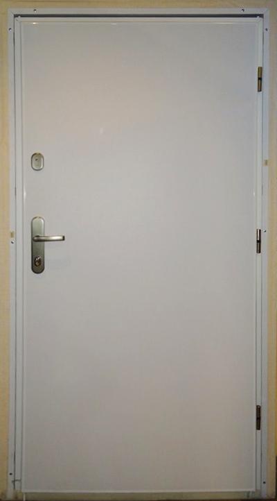 Дверь входная wx10